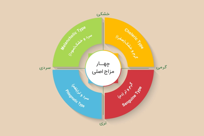 دایره‌ای شامل چهار خلط اصلی: دم، صفرا، بلغم و سودا