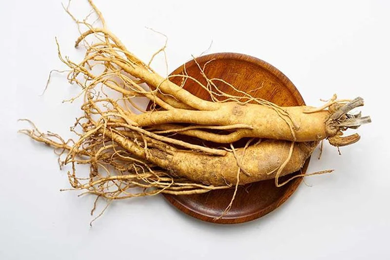 چند ریشه جینسینگ روی بشقاب چوبی، قابل استفاده برای افزایش انرژی و تقویت قوای جنسی