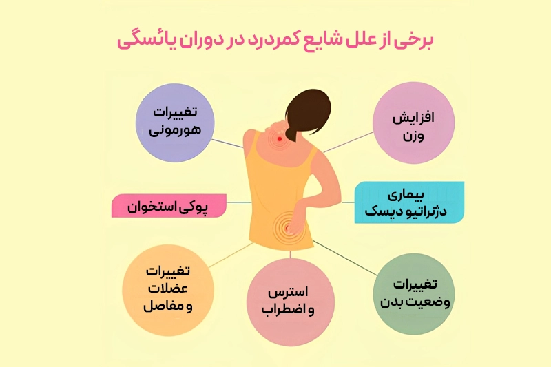 زنان یائسه بیشتر از مردان و زنان پیش از یائسگی دچار کمردرد میشوند؛ هورمونها، پیری و سبک زندگی نقش دارند