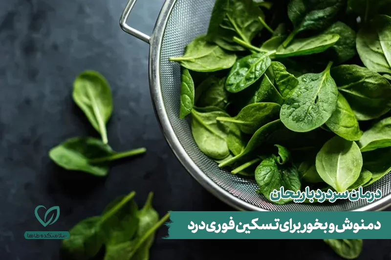 درمان سردرد با ریحان برگهای تازه و شستهشده ریحان در سبد برای درمان سردرد