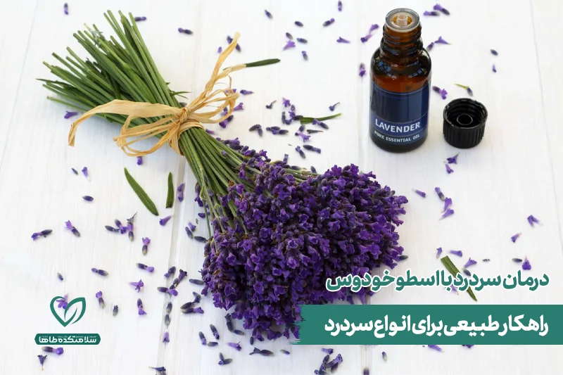 درمان سردرد با اسطوخودوس دسته گلهای اسطوخودوس با شیشه روغن آن در کنارشان برای درمان سردرد