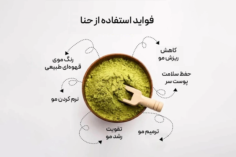 کاسهای پر از حنا با قاشق و فواید حنا برای موها به صورت اینفوگرافیک